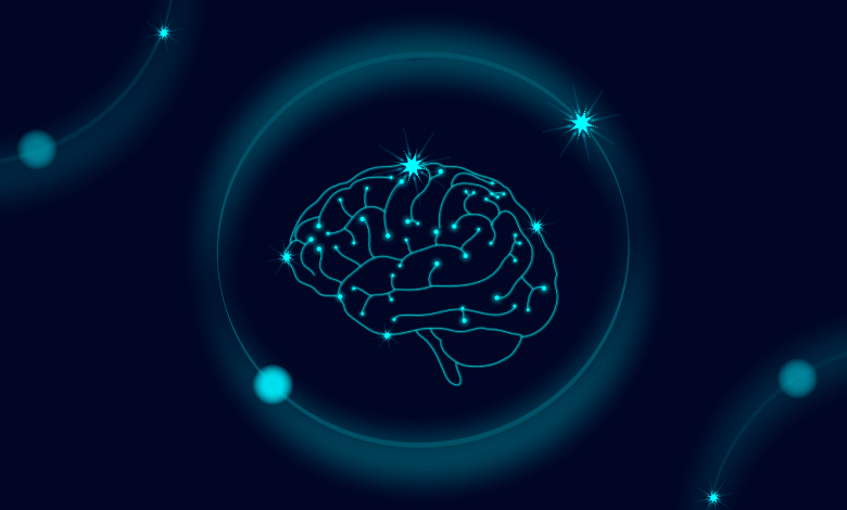 فرایند یادگیری در مغز ما چگونه است؟ عملکرد مغز در یادگیری | مجله آموزشی نیلاسافت